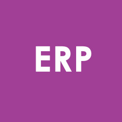 کارشناس ERP